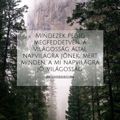 Picture 07 - Efézus 5:13 KAR - Mindezek pedig megfeddetvén, a világosság - Bible Verse Picture