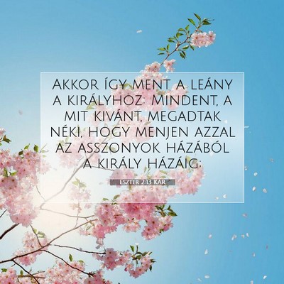 Picture 07 - Eszter 2:13 KAR - Akkor így ment a leány a királyhoz: Mindent, a - Bible Verse Picture
