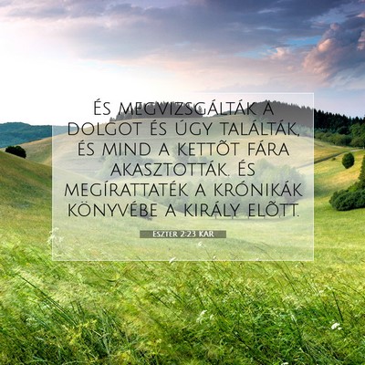 Picture 07 - Eszter 2:23 KAR - És megvizsgálták a dolgot és úgy találták, - Bible Verse Picture
