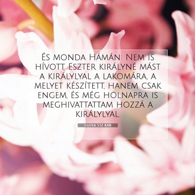 Picture 07 - Eszter 5:12 KAR - És monda Hámán: Nem is hívott Eszter - Bible Verse Picture