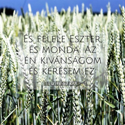 Picture 07 - Eszter 5:7 KAR - És felele Eszter, és monda: Az én kivánságom - Bible Verse Picture