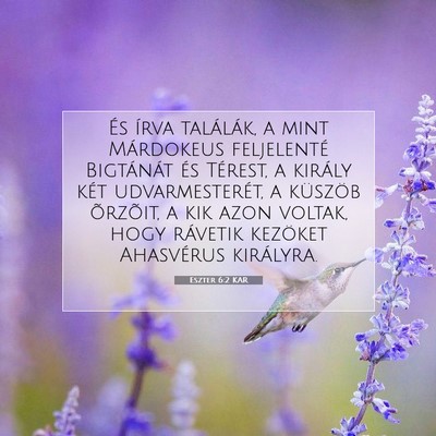Picture 07 - Eszter 6:2 KAR - És írva találák, a mint Márdokeus - Bible Verse Picture