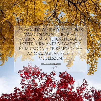 Picture 07 - Eszter 7:2 KAR - És monda a király Eszternek másodnapon is, - Bible Verse Picture