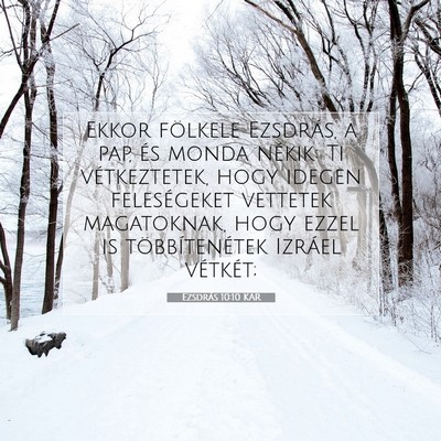 Picture 07 - Ezsdrás 10:10 KAR - Ekkor fölkele Ezsdrás, a pap, és monda nékik: - Bible Verse Picture