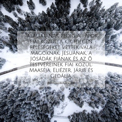 Picture 07 - Ezsdrás 10:18 KAR - Találtatának pedig a papok fiai közül, a kik - Bible Verse Picture