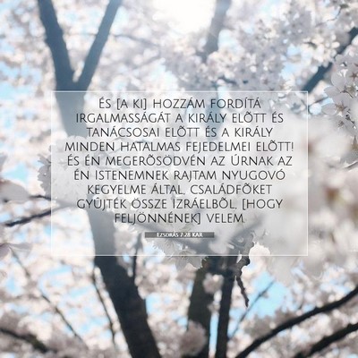 Picture 07 - Ezsdrás 7:28 KAR - És [a ki] hozzám fordítá irgalmasságát a - Bible Verse Picture