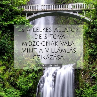 Picture 07 - Ezékiel 1:14 KAR - És a lelkes állatok ide s tova mozognak vala, - Bible Verse Picture