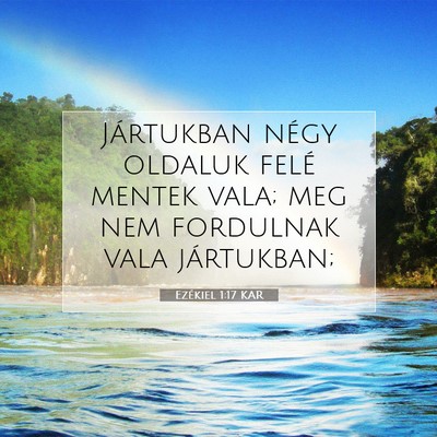 Picture 07 - Ezékiel 1:17 KAR - Jártukban négy oldaluk felé mentek vala; meg - Bible Verse Picture
