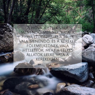 Picture 07 - Ezékiel 1:20 KAR - A hová a lélek vala menendõ, mennek vala, a - Bible Verse Picture