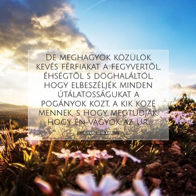 Picture 07 - Ezékiel 12:16 KAR - De meghagyok közülök kevés férfiakat a - Bible Verse Picture