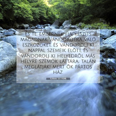 Picture 07 - Ezékiel 12:3 KAR - És te, embernek fia, készíts magadnak - Bible Verse Picture