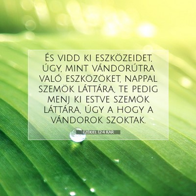 Picture 07 - Ezékiel 12:4 KAR - És vidd ki eszközeidet, úgy, mint vándorútra - Bible Verse Picture