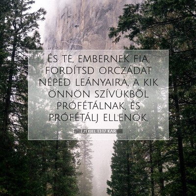 Picture 07 - Ezékiel 13:17 KAR - És te, embernek fia, fordítsd orczádat néped - Bible Verse Picture
