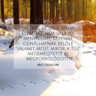 Picture 07 - Ezékiel 15:5 KAR - Ímé, míg ép vala, semmi eszközre nem vala - Bible Verse Picture