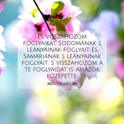 Picture 07 - Ezékiel 16:53 KAR - És visszahozom foglyaikat, Sodomának s - Bible Verse Picture