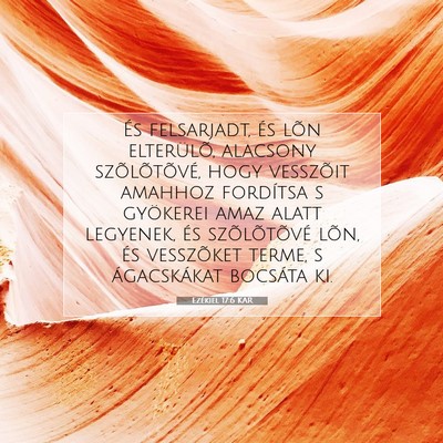 Picture 07 - Ezékiel 17:6 KAR - És felsarjadt, és lõn elterülõ, alacsony - Bible Verse Picture