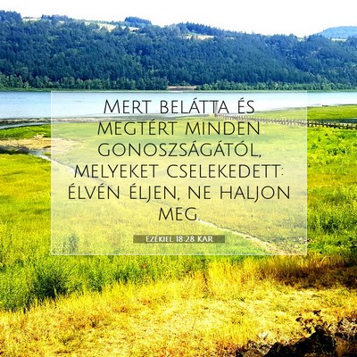 Picture 07 - Ezékiel 18:28 KAR - Mert belátta és megtért minden - Bible Verse Picture