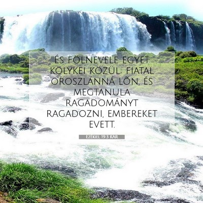 Picture 07 - Ezékiel 19:3 KAR - És fölnevele egyet kölykei közül; fiatal - Bible Verse Picture