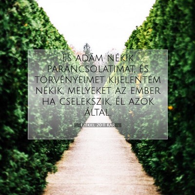 Picture 07 - Ezékiel 20:11 KAR - És adám nékik parancsolatimat, és - Bible Verse Picture