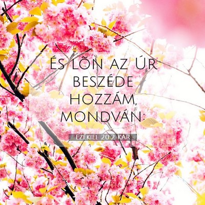 Picture 07 - Ezékiel 20:2 KAR - És lõn az Úr beszéde hozzám, - Bible Verse Picture
