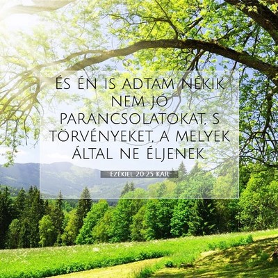 Picture 07 - Ezékiel 20:25 KAR - És én is adtam nékik nem jó parancsolatokat, - Bible Verse Picture