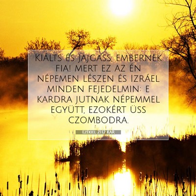 Picture 07 - Ezékiel 21:12 KAR - Kiálts és jajgass, embernek fia! mert ez az én - Bible Verse Picture