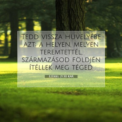 Picture 07 - Ezékiel 21:30 KAR - Tedd vissza hüvelyébe azt; a helyen, melyen - Bible Verse Picture