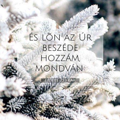 Picture 07 - Ezékiel 25:1 KAR - És lõn az Úr beszéde hozzám, - Bible Verse Picture