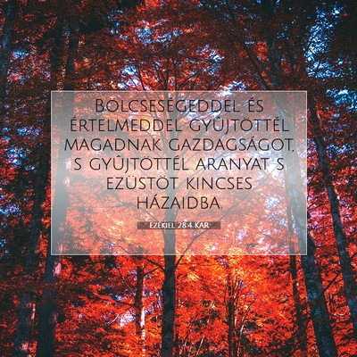 Picture 07 - Ezékiel 28:4 KAR - Bölcseségeddel és értelmeddel gyûjtöttél - Bible Verse Picture