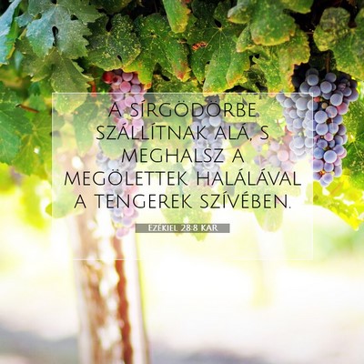 Picture 07 - Ezékiel 28:8 KAR - A sírgödörbe szállítnak alá, s meghalsz a - Bible Verse Picture