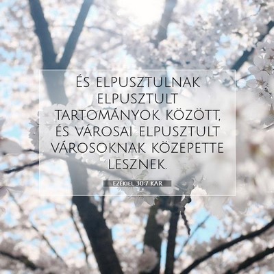 Picture 07 - Ezékiel 30:7 KAR - És elpusztulnak elpusztult tartományok - Bible Verse Picture
