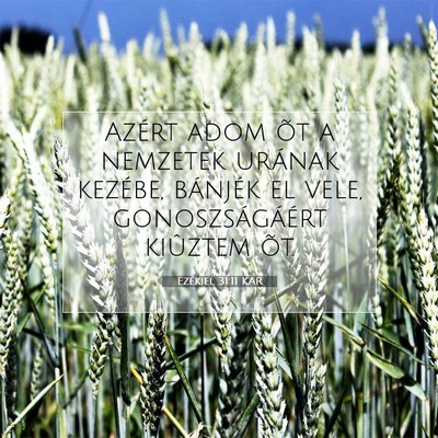 Picture 07 - Ezékiel 31:11 KAR - Azért adom õt a nemzetek urának kezébe, - Bible Verse Picture