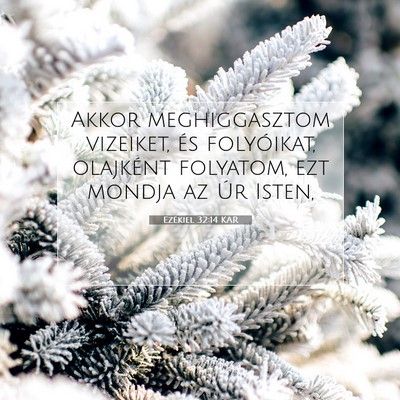 Picture 07 - Ezékiel 32:14 KAR - Akkor meghiggasztom vizeiket, és folyóikat, - Bible Verse Picture