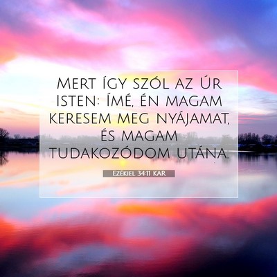 Picture 07 - Ezékiel 34:11 KAR - Mert így szól az Úr Isten: Ímé, én magam - Bible Verse Picture