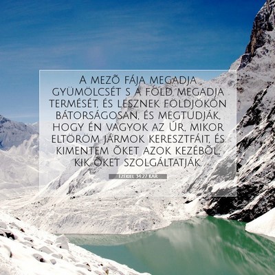 Picture 07 - Ezékiel 34:27 KAR - A mezõ fája megadja gyümölcsét s a föld - Bible Verse Picture