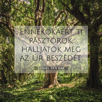 Picture 07 - Ezékiel 34:9 KAR - Ennekokáért, ti pásztorok, halljátok meg az - Bible Verse Picture