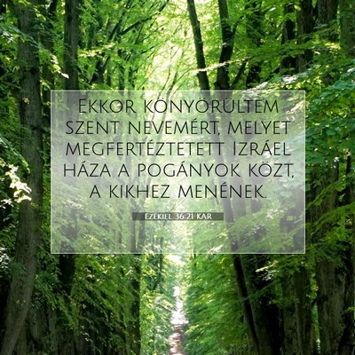 Picture 07 - Ezékiel 36:21 KAR - Ekkor könyörültem szent nevemért, melyet - Bible Verse Picture