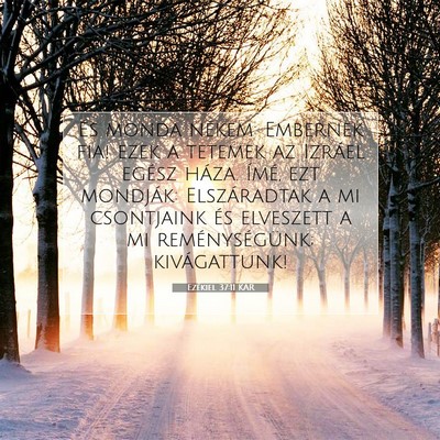 Picture 07 - Ezékiel 37:11 KAR - És monda nékem: Embernek fia! ezek a tetemek az - Bible Verse Picture