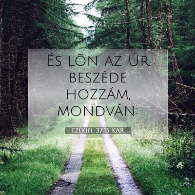 Picture 07 - Ezékiel 37:15 KAR - És lõn az Úr beszéde hozzám, - Bible Verse Picture