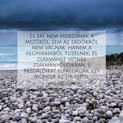Picture 07 - Ezékiel 39:10 KAR - És fát nem hordanak a mezõrõl, sem az - Bible Verse Picture