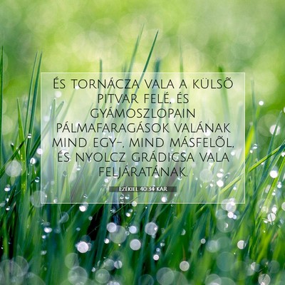 Picture 07 - Ezékiel 40:34 KAR - És tornácza vala a külsõ pitvar felé, és - Bible Verse Picture