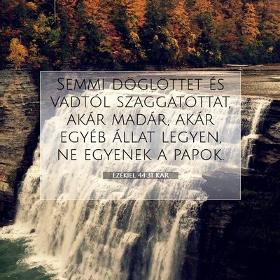 Picture 07 - Ezékiel 44:31 KAR - Semmi döglöttet és vadtól szaggatottat, akár - Bible Verse Picture