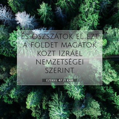 Picture 07 - Ezékiel 47:21 KAR - És oszszátok el ezt a földet magatok közt - Bible Verse Picture