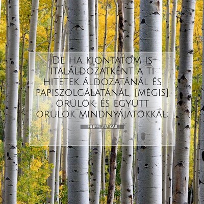 Picture 07 - Filippi 2:17 KAR - De ha kiontatom is italáldozatként a ti hitetek - Bible Verse Picture