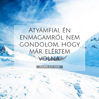 Picture 07 - Filippi 3:13 KAR - Atyámfiai, én enmagamról nem gondolom, hogy - Bible Verse Picture