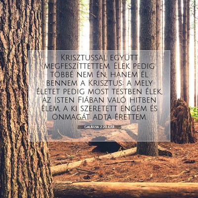 Picture 07 - Galátzia 2:20 KAR - Krisztussal együtt megfeszíttettem. Élek pedig - Bible Verse Picture