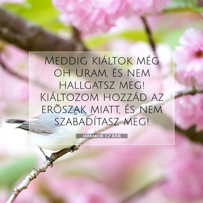 Picture 07 - Habakuk 1:2 KAR - Meddig kiáltok még oh Uram, és nem hallgatsz - Bible Verse Picture