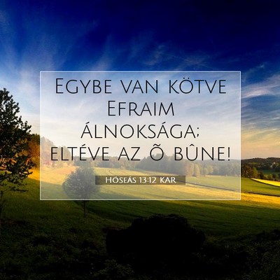 Picture 07 - Hóseás 13:12 KAR - Egybe van kötve Efraim álnoksága; eltéve az - Bible Verse Picture