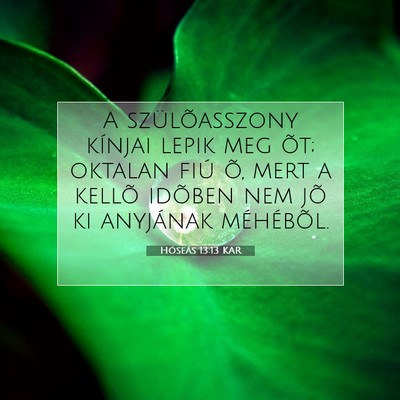 Picture 07 - Hóseás 13:13 KAR - A szülõasszony kínjai lepik meg õt; oktalan - Bible Verse Picture