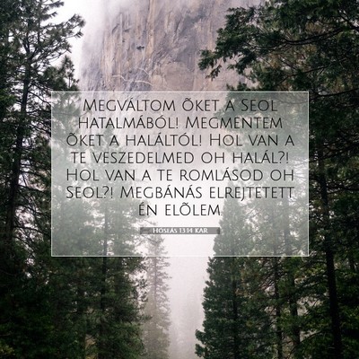 Picture 07 - Hóseás 13:14 KAR - Megváltom õket a Seol hatalmából! Megmentem - Bible Verse Picture